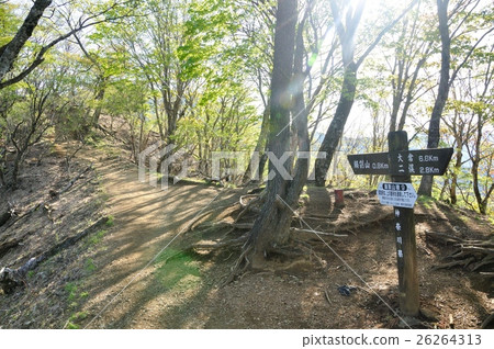 Nabe mountain ridge with fresh green and saki through 26264313