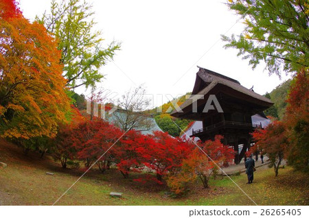 Shishinji寺門的秋葉Shinshu Azumino Omachi在鎌倉時代建立的古廟 Shishinji寺門的秋葉Shinshu Azumino Omachi在鎌倉時代建立的古廟 26265405