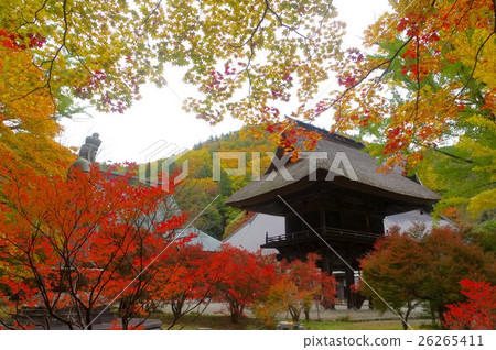 Shishinji寺門的秋葉Shinshu Azumino Omachi在鎌倉時代建立的古廟 26265411