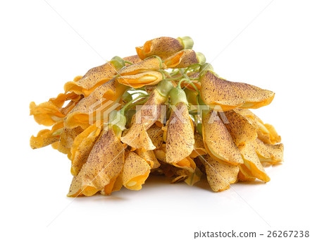 Sesbania flowers isolated on white background 26267238