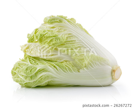 Chinese Cabbage on white background Chinese Cabbage on white background 26267272