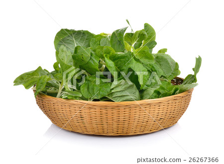 spinach in the basket on white background 26267366