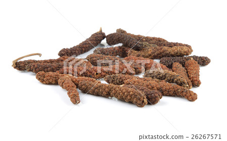 long pepper on white background 26267571