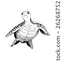 Sea turtle black and white non-transparent white background 26268752