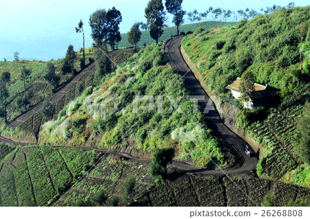 Natural scenery in Argosari 26268808