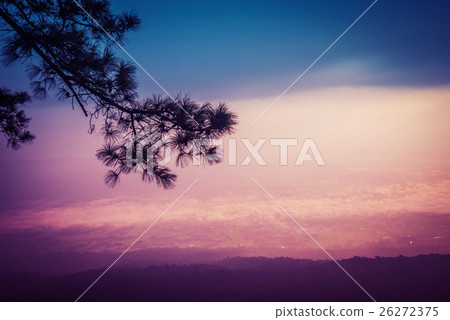 Silhouette Landscape View in Early Morning Time 26272375