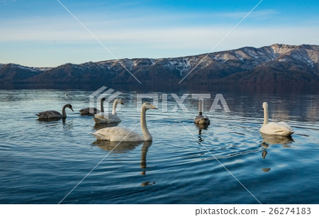 Kussharo Lake Shiratori Sand Kussharo Lake Shiratori Sand 26274183