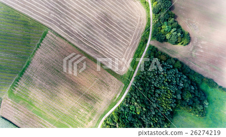 Country road leading through fields and grassland 26274219