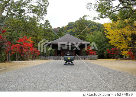 阿米達多的秋天〜2016年 26274989