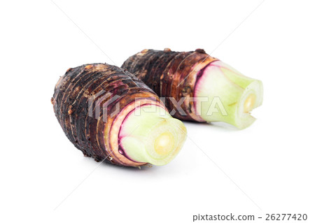 closeup of taro root on white background closeup of taro root on white background 26277420