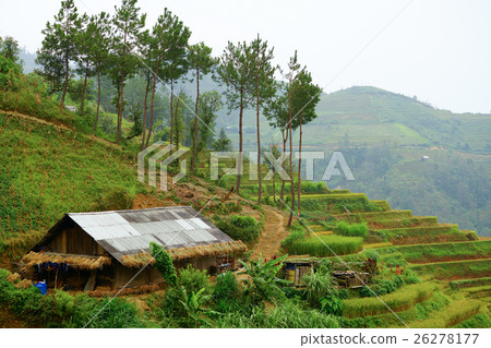 Hmong village Hmong village 26278177