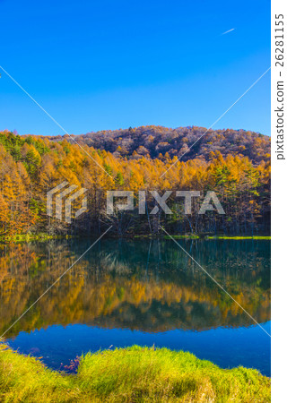 Autumn leaves of Shark pond Autumn leaves of Shark pond 26281155