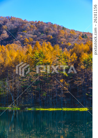 Autumn leaves of Shark pond 26281156