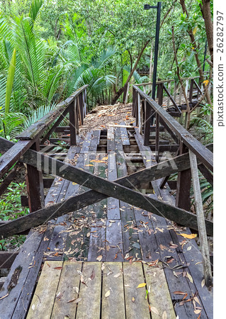 Abandoned Wooden Walkway in Mangrove Forest Abandoned Wooden Walkway in Mangrove Forest 26282797