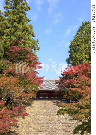 京都Jingo-ji在秋天 京都Jingo-ji在秋天 26283531