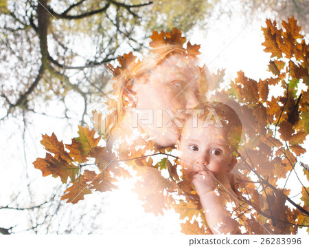 Concept of fall crop  26283996