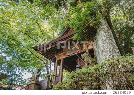 在森林裡的寺廟 26284039