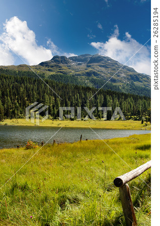 Lej Marsch - Swiss Alpine Lake Lej Marsch - Swiss Alpine Lake 26285194