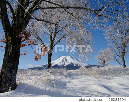 在Salmon Rain冰山的早晨 在Salmon Rain冰山的早晨 26285394