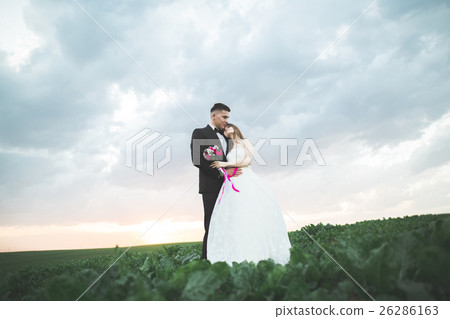 Lovely couple young bride and groom on sunset Lovely couple young bride and groom on sunset 26286163
