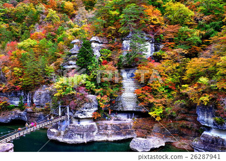 Four seasons 26287941