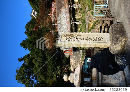 Takeyoshima 26288069