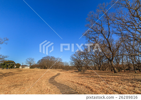 Scenery of Kaso Ry shell mound in winter 26289816