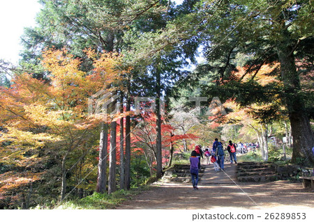 Mt. Ontakesama在秋天 26289853