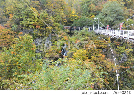 在路站的月山站的“Fureai橋” 26290248