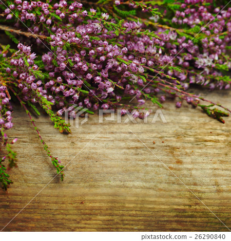 Flowers on the old wooden background 26290840
