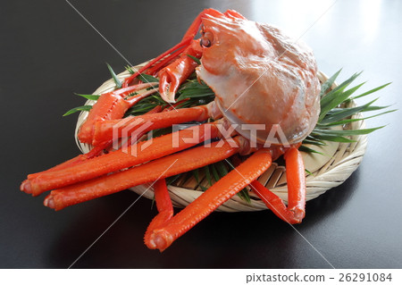 一隻螃蟹 26291084