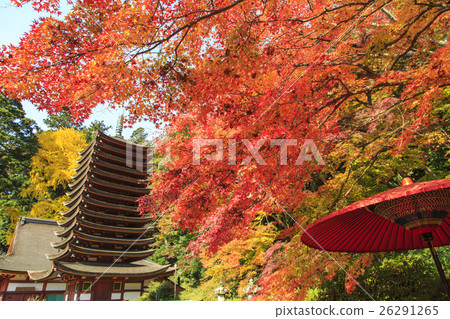 Autumn leaves of Shishiyama Shrine 26291265
