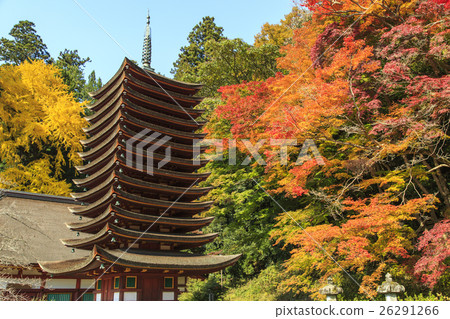 Autumn leaves of Shishiyama Shrine 26291266