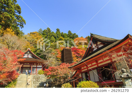 Shishiyama寺廟秋葉 26291270