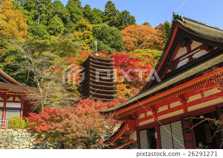 Shishiyama寺廟秋葉 26291271