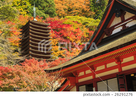 Shishiyama寺廟秋葉 26291276