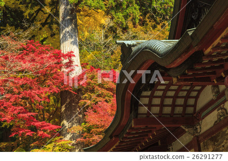 Shishiyama寺廟秋葉 26291277