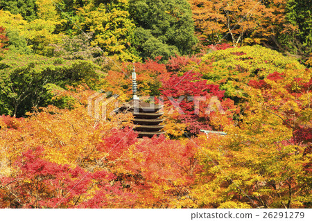 Shishiyama寺廟秋葉 26291279