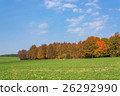 Autumn rural landscape with a forest 26292990