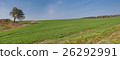 Summer rural landscape with a field and the blue 26292991