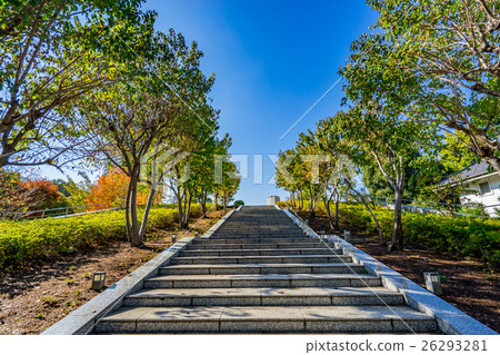 [Tokyo] Stone steps 26293281