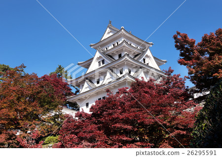[Gujo City Important Cultural Property] Autumn leaves of Gujo Hachiman Castle 26295591