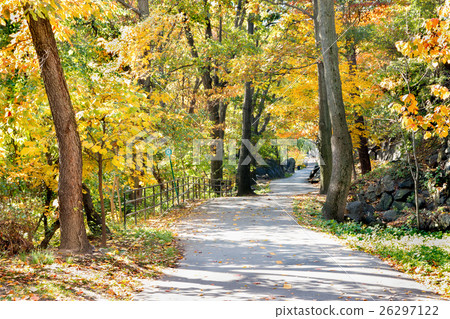 Fall at Highridge Park in New York City Fall at Highridge Park in New York City 26297122