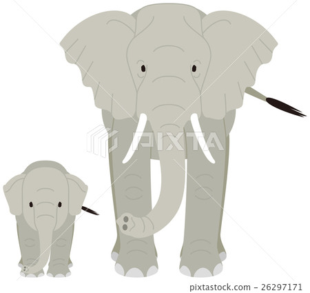 Elephant parent and child 26297171