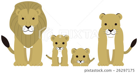 Lion family Lion family 26297175