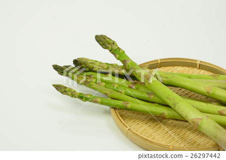 蘆筍 蘆筍 26297442