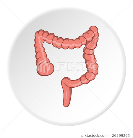 Intestine icon, cartoon style 26299265