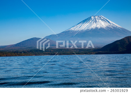 富士山和本棲 26301929
