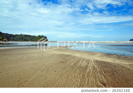 Tajor beach in Bako National Park 26302188