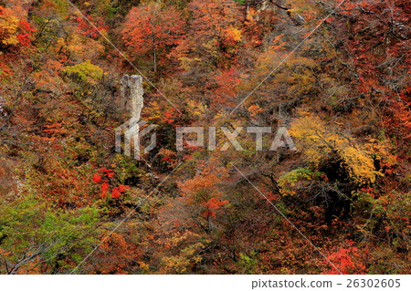 Naruko gorge of autumn leaves Naruko gorge of autumn leaves 26302605
